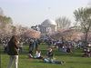  Jefferson Memorial